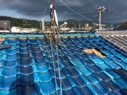和瓦が3枚剥がれてなくなっていました