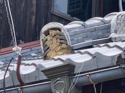 落下した鬼瓦