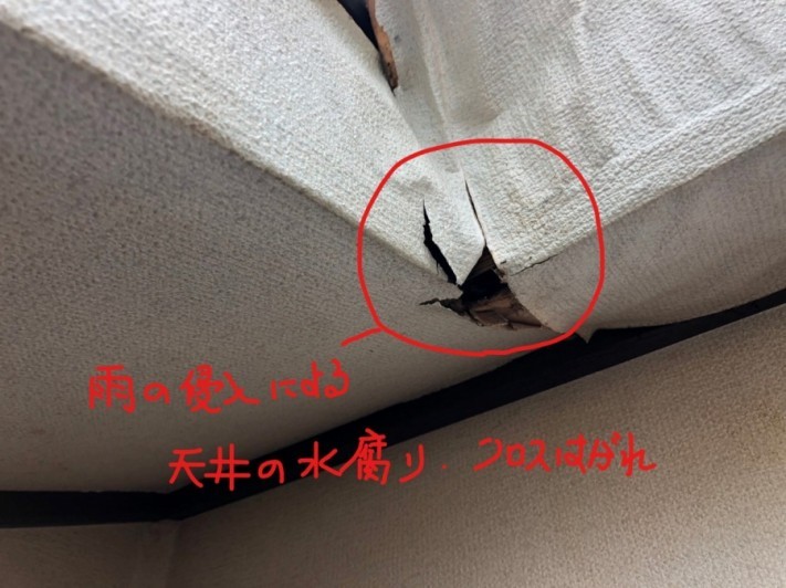 天井雨漏りによる腐食