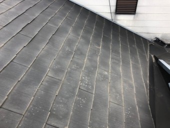 屋根伏見劣化