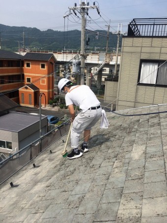 屋根苔落とし