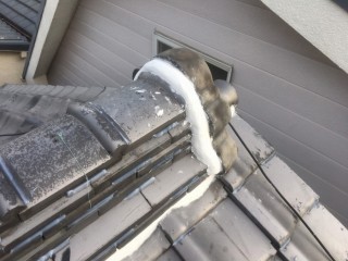 漆喰やり替え鬼瓦