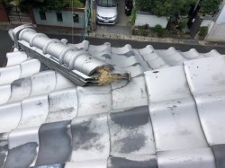 剥がれてしまった漆喰