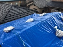 ブルーシート