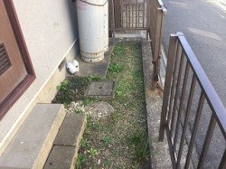 犬走り施工前