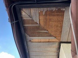 軒天井の張り替え