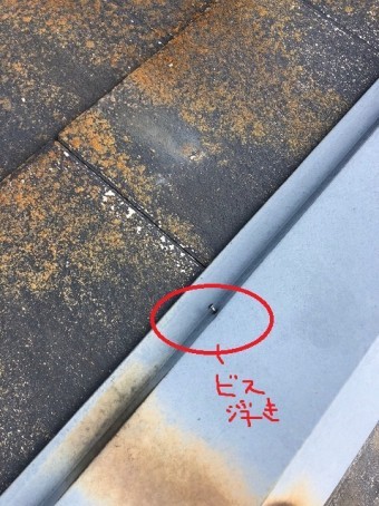 棟板金