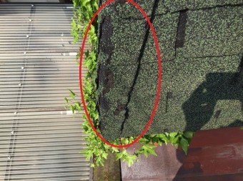 雨漏れ被害