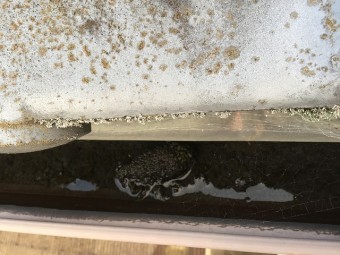 雨樋の雨漏れ