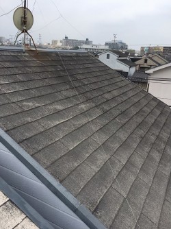 屋根塗装