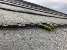 苔の発生したスレート屋根