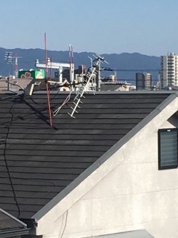 アンテナ