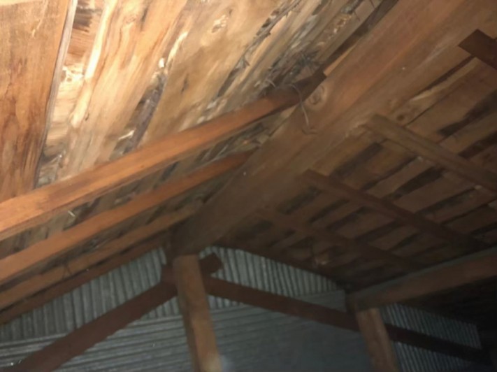 小屋裏雨染み