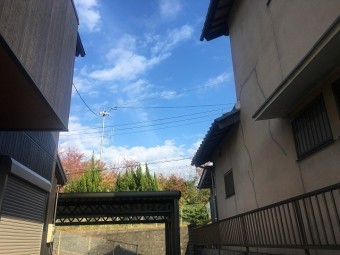 テラス屋根