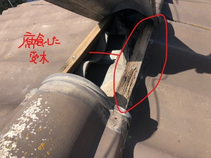 腐食した受木