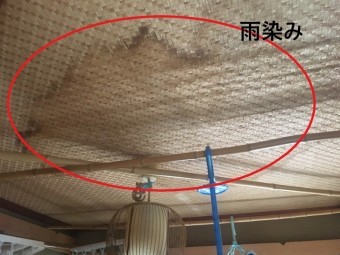 雨染み