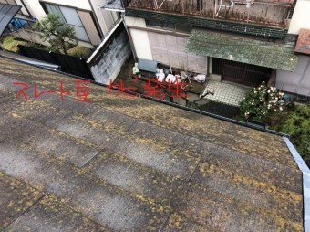 スレート瓦カビ発生