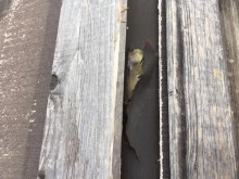 line_3186018413782-columns3