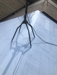 全体