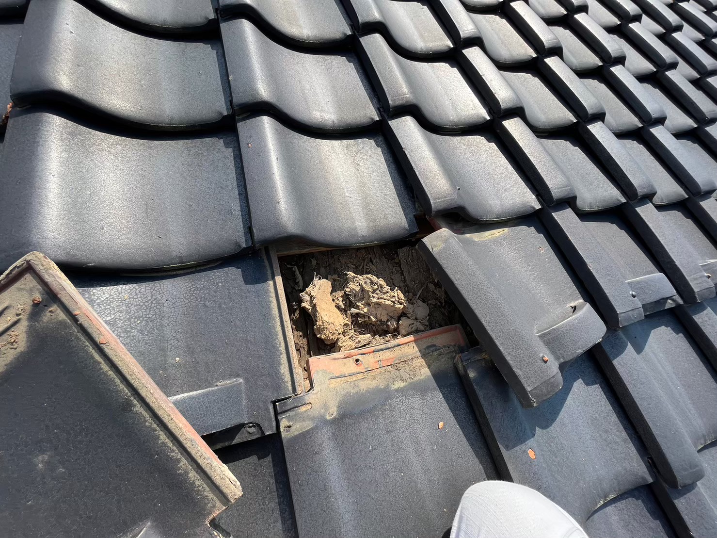 草津市で瓦屋根の補修で屋根調査依頼、瓦屋根の老朽化の症状とは？