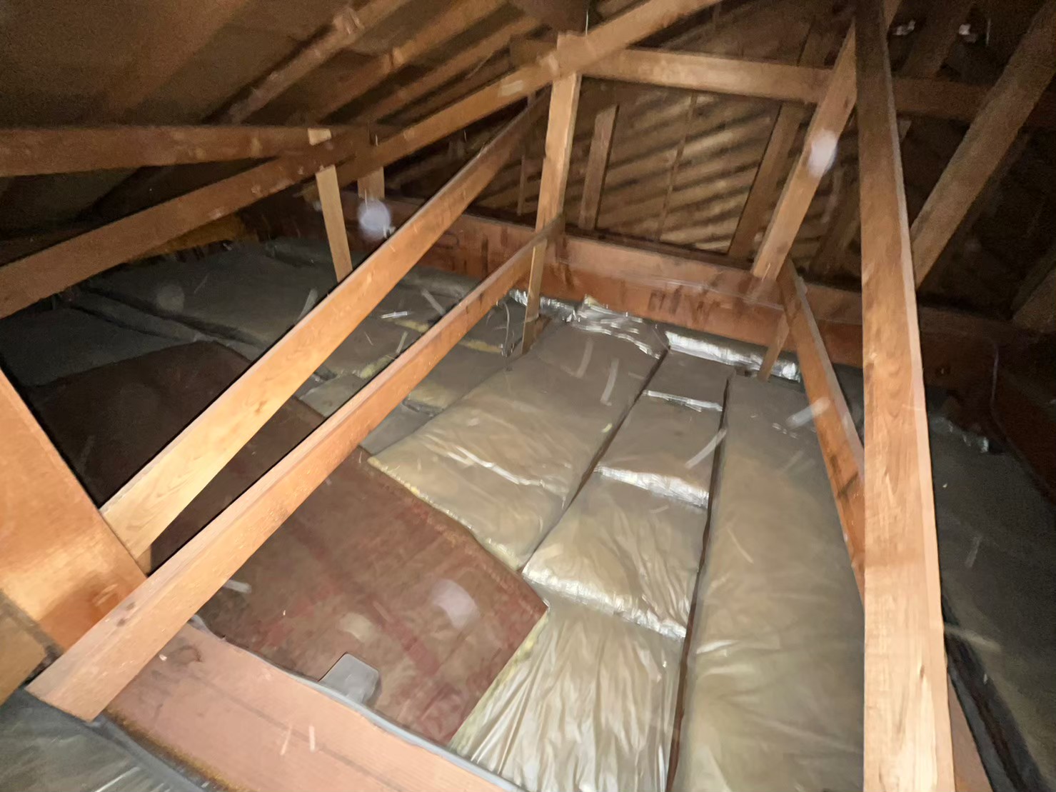 既存の天井断熱材の状況確認