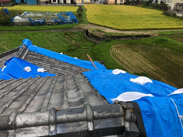 台風被害後の屋根の現場調査