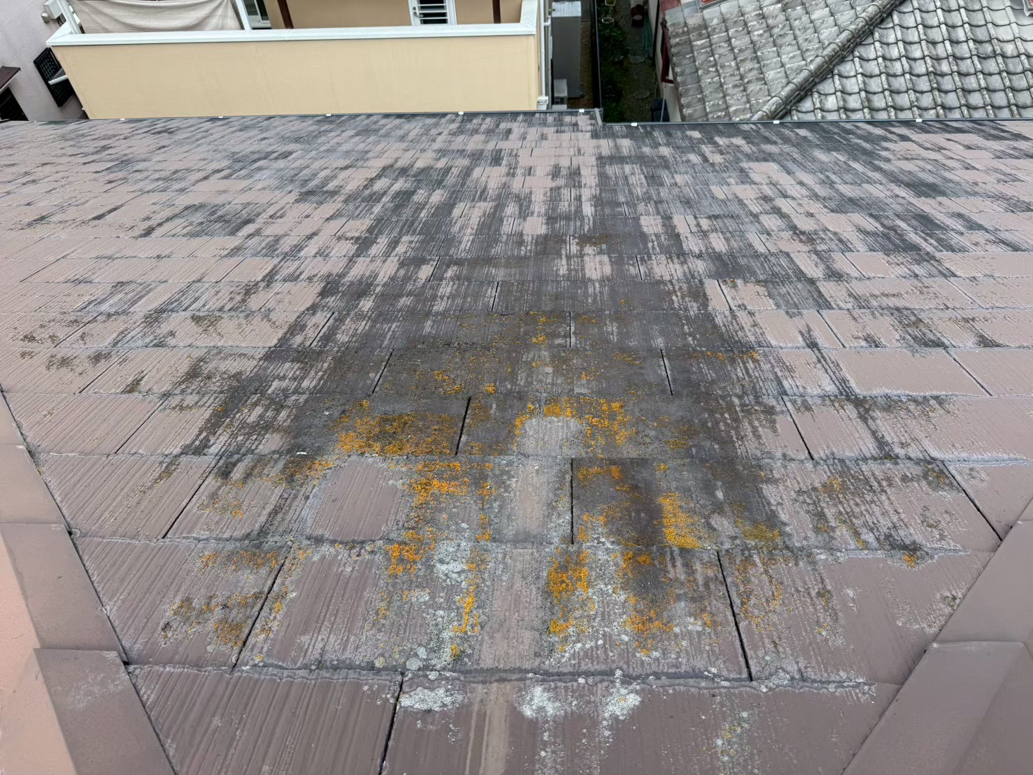 カラーベスト現状