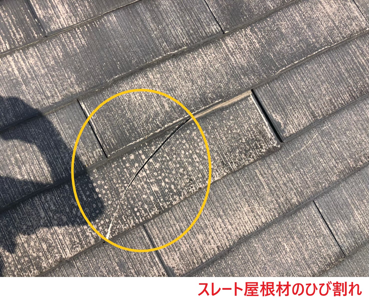 スレート屋根材の割れやズレの発生 (2)