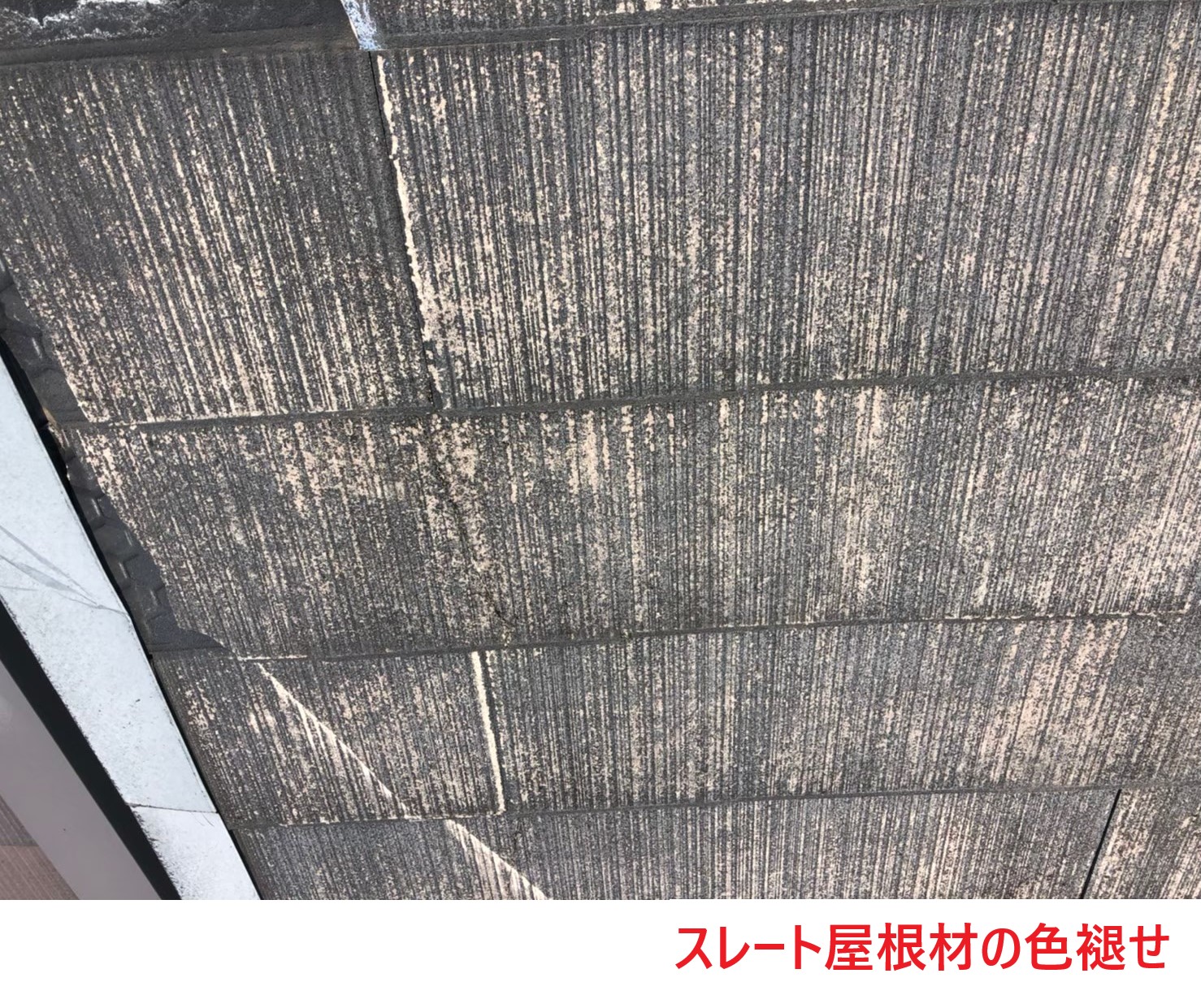 スレート屋根材の色褪せ (1)