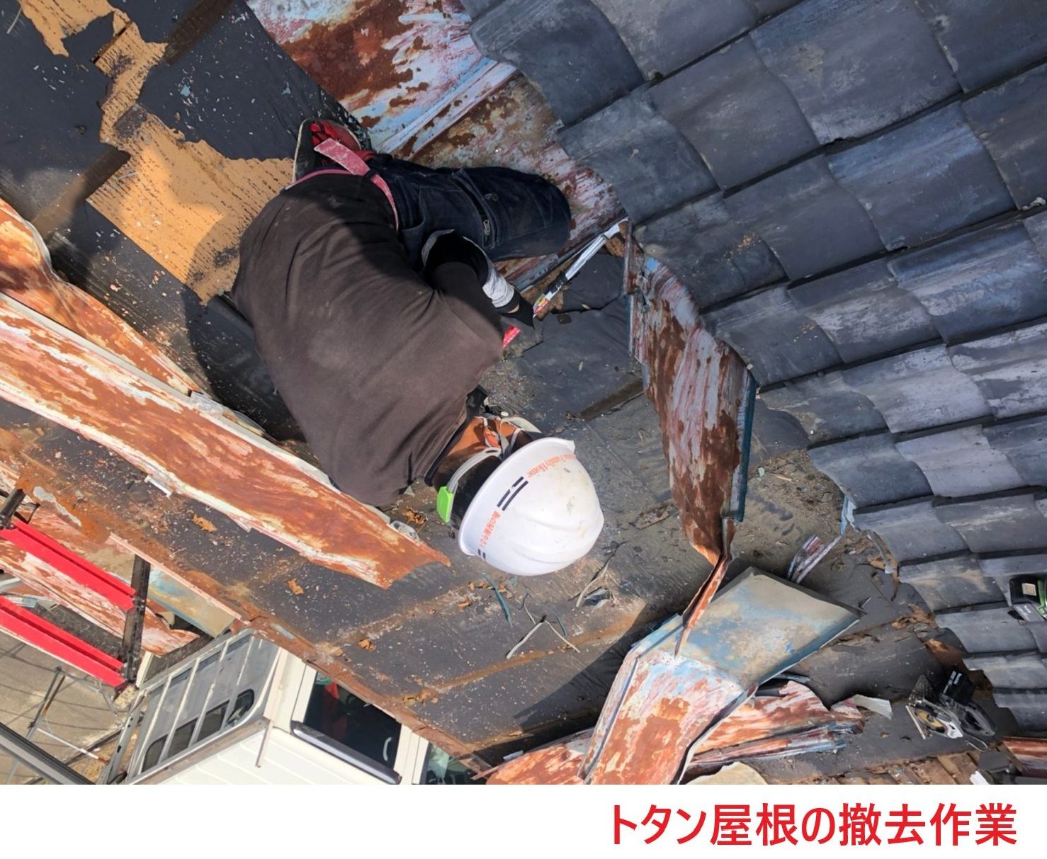 トタン屋根の撤去 (2)
