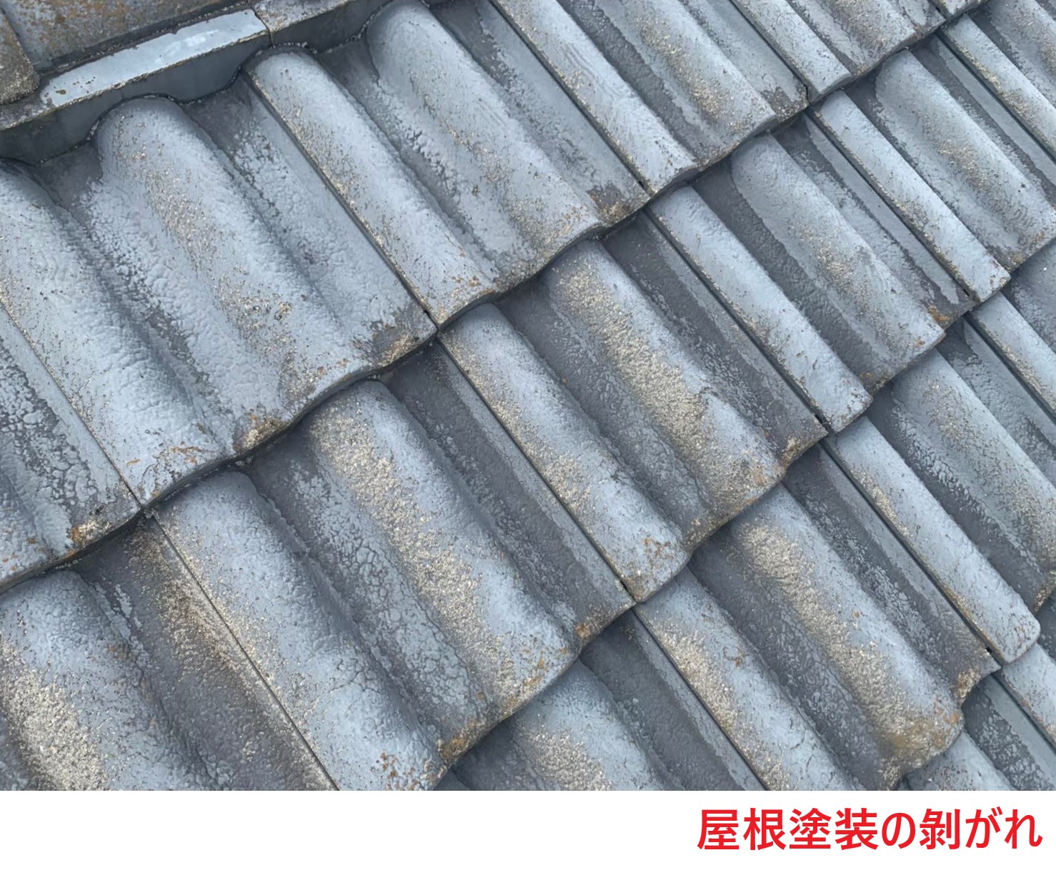 滋賀県草津市野路でセメント瓦の屋根塗装の剝がれがあり点検してほしいとのご依頼