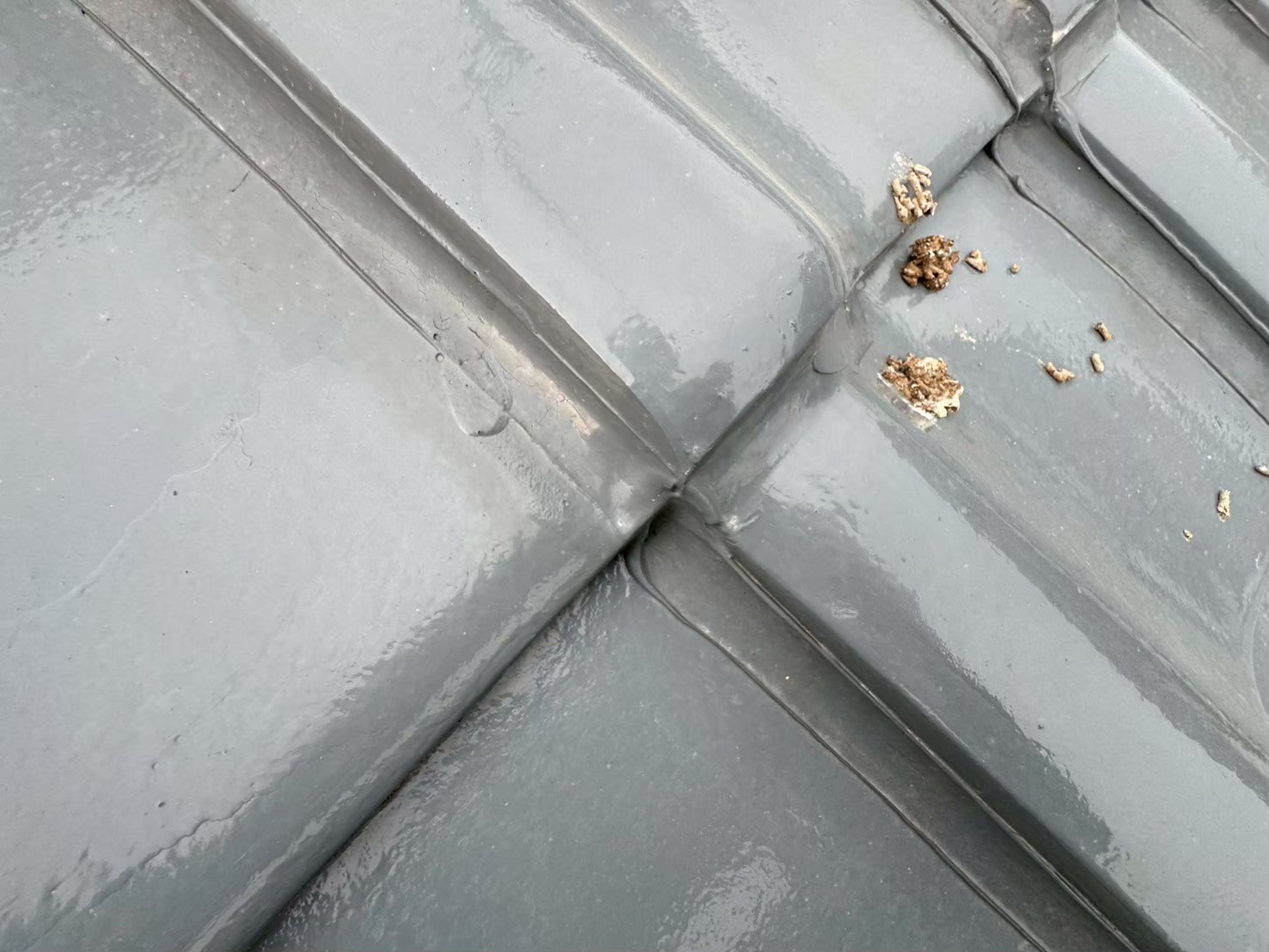 屋根葺き替え (22)