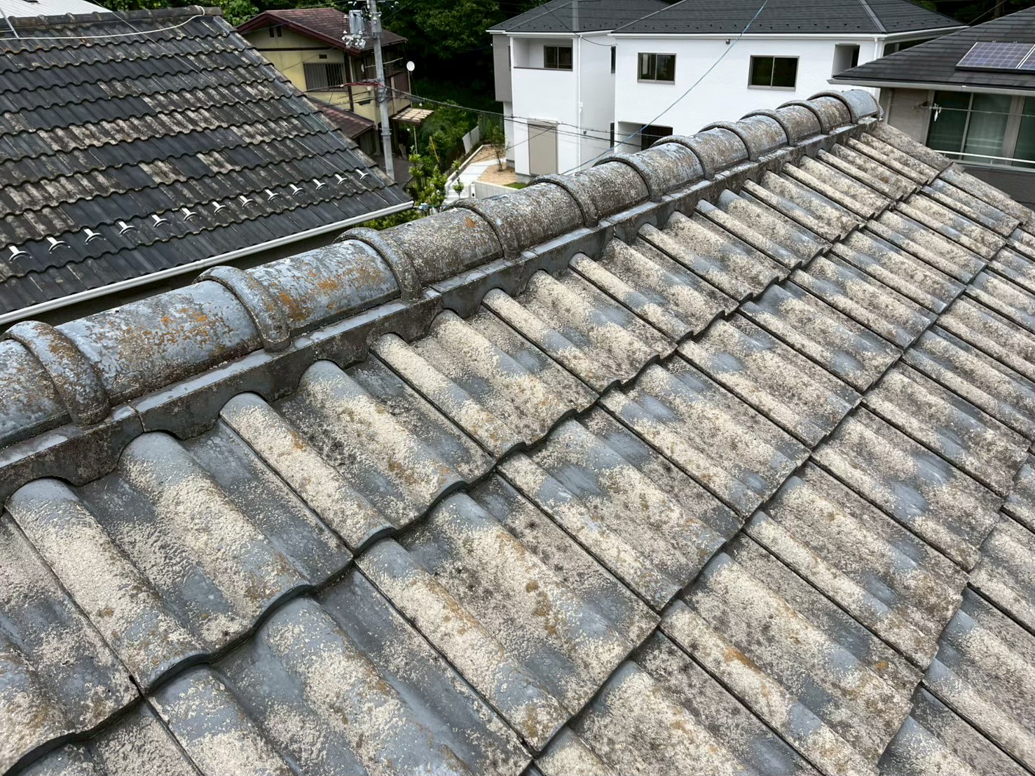 屋根調査 (10)
