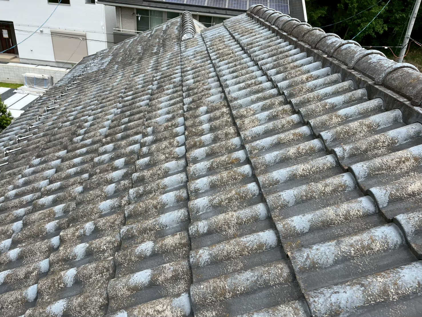 屋根調査 (11)