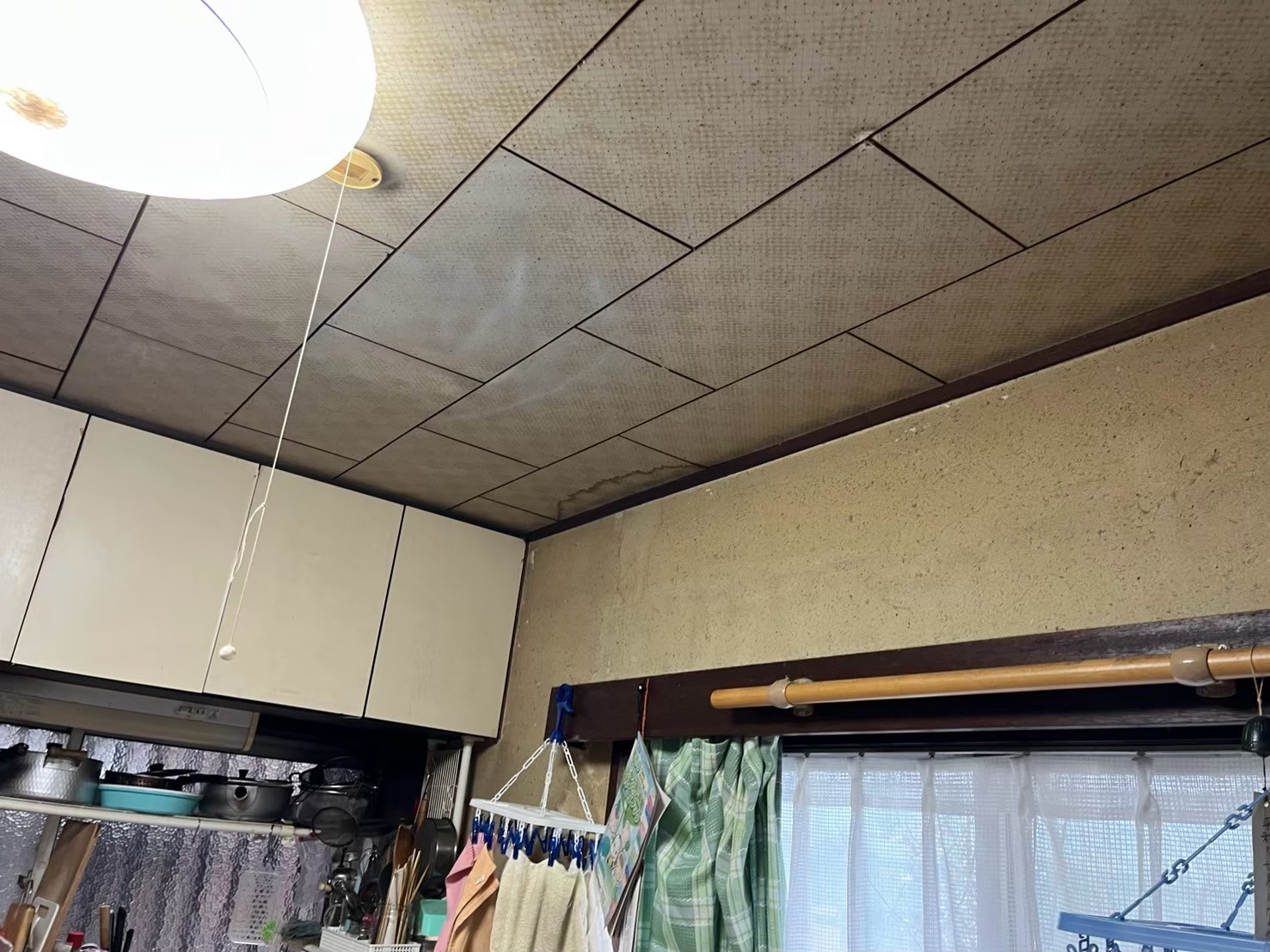 屋根調査 (13)