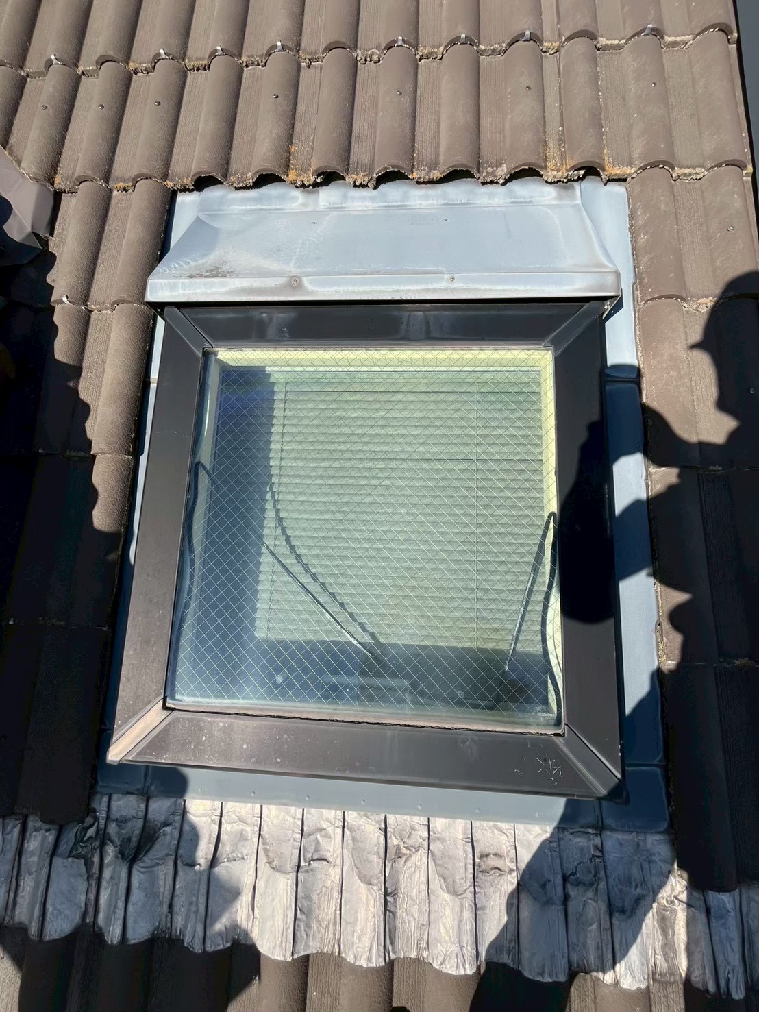 屋根調査 (2)