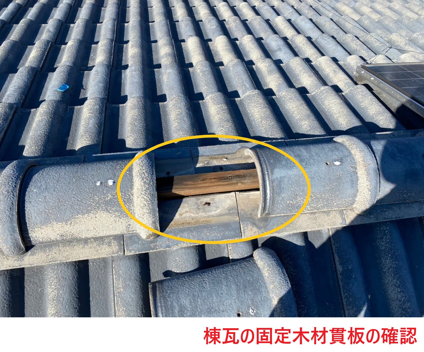 棟瓦の固定木材貫板の確認