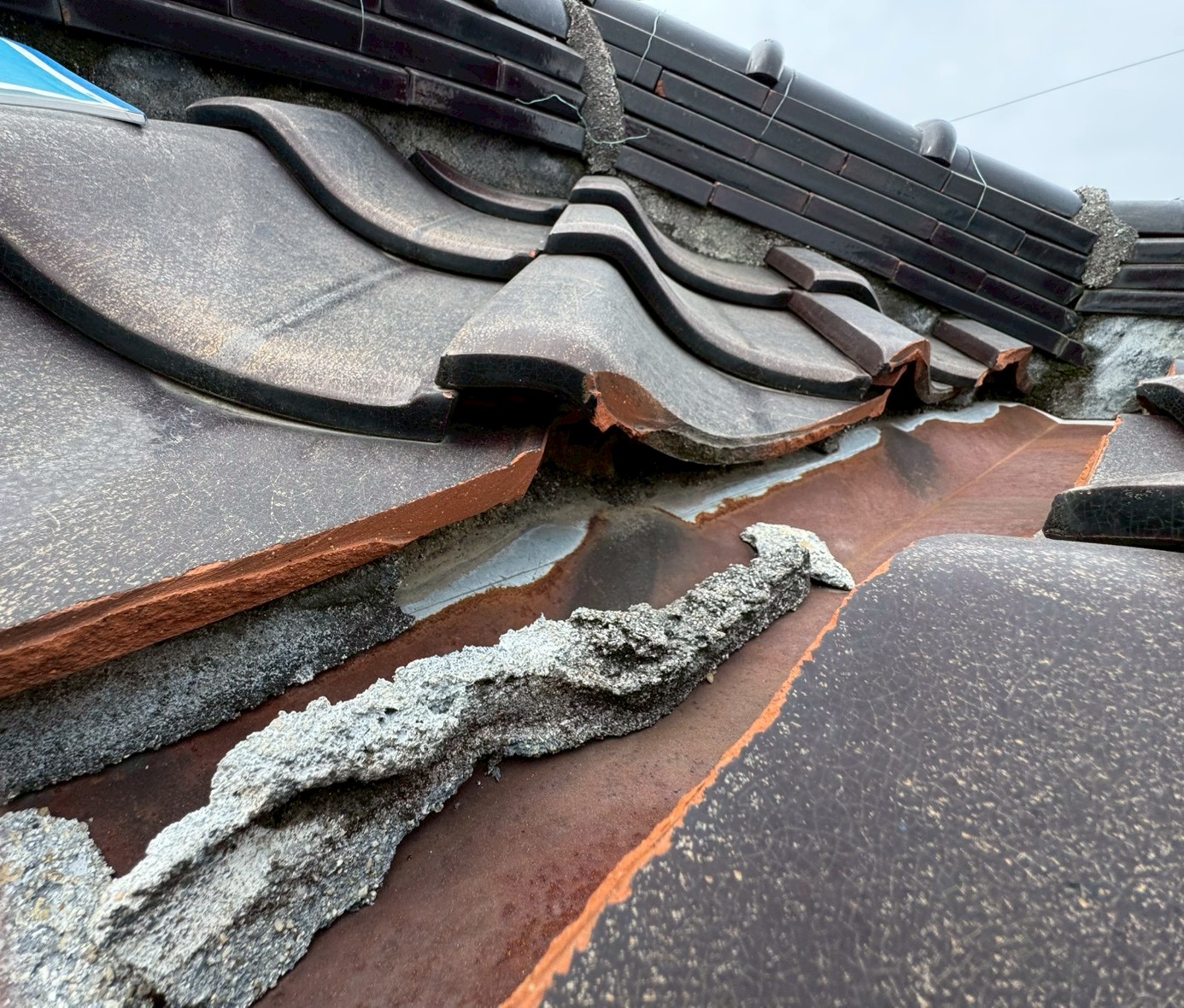 草津市 漆喰調査 (2)